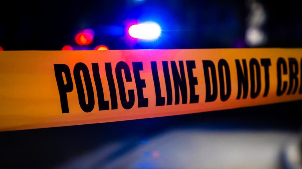 23-year-old Indian student brutally assaulted in Adelaide; suffers brain trauma, facial fracture