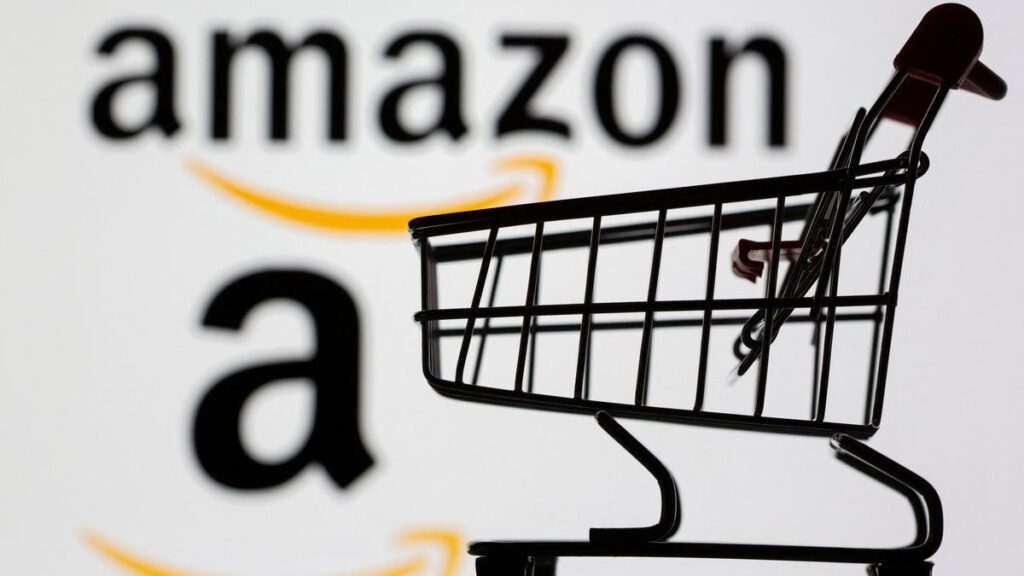 After Bengaluru, Amazon's 10-min delivery service running in select Delhi pin codes
