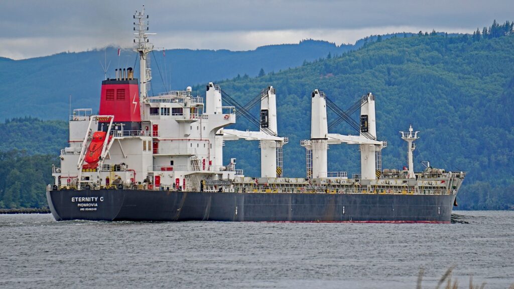 houthi, red sea, cargo ship