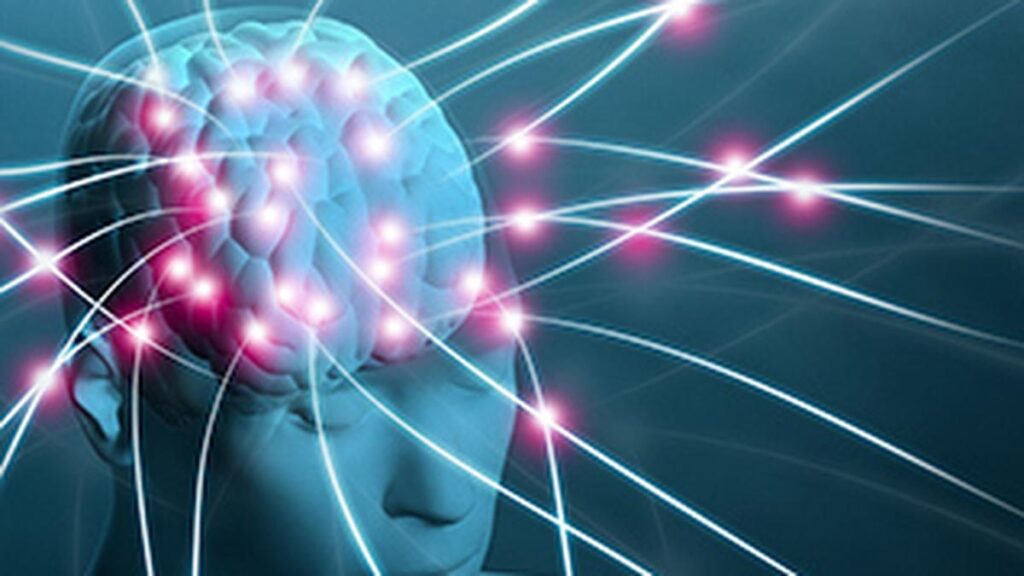 Brain health requires lifelong attention and preventive care