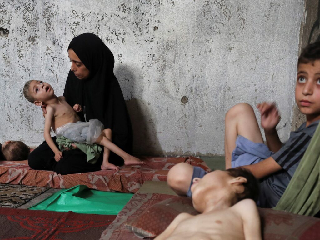 Death toll from starvation in Gaza rises to 115 as Israeli attacks continue | Israel-Palestine conflict News Death toll from starvation in Gaza rises to 115 as Israeli attacks continue | Israel-Palestine conflict News