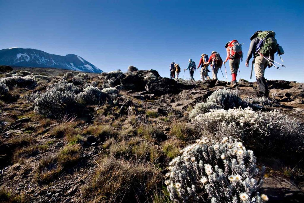 How to Climb Mount Kilimanjaro and What to Expect, According to a Top Travel Advisor