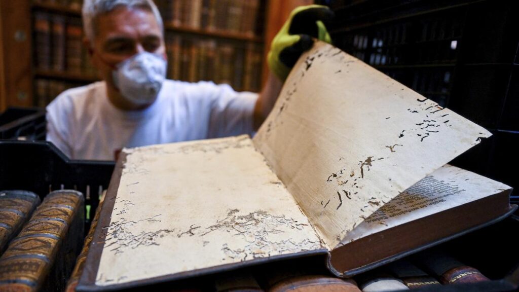 Hungary’s oldest library fighting to save 100,000 books from beetle infestation