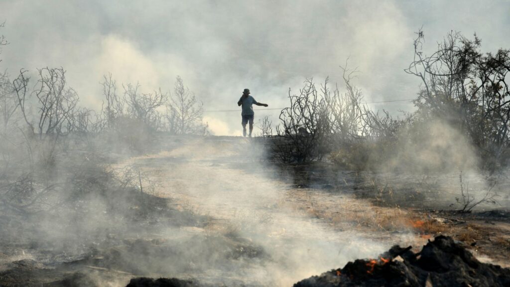 Cyprus wildfire