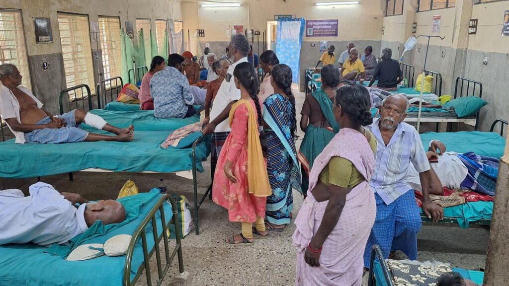 Over 37 lakh dog bite cases, 54 human rabies deaths in 2024: Govt tells Lok Sabha