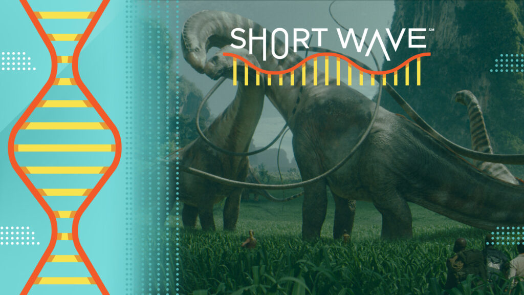 Rebirth : Short Wave : NPR Rebirth : Short Wave : NPR