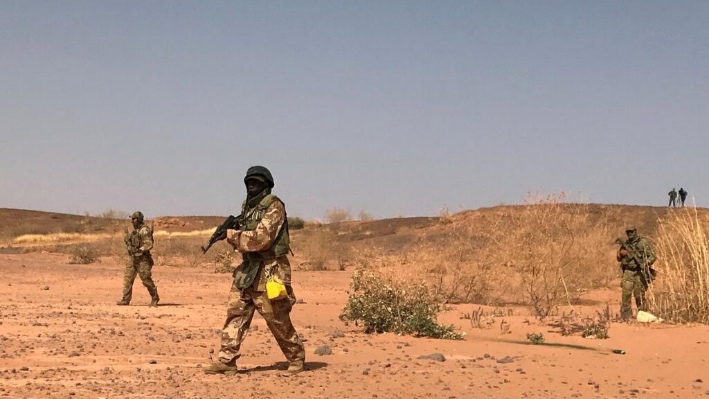 Terrorists kill two Indians, abduct one in south-west Niger