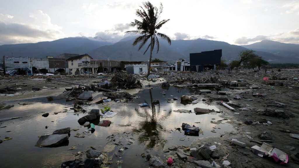 tsunami earthquake japan russia