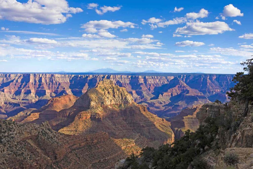 Wildfire Forces Full Closure of Grand Canyon’s North Rim for Summer 2025