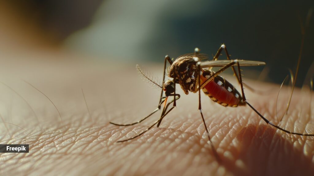 Dengue in children: Some early signs parents must pay attention to | Health News Parents should look out for these signs of dengue in children