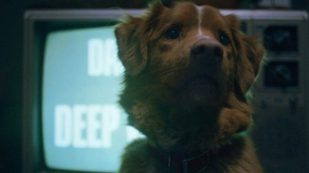 Does the dog die in Good Boy? What to know as IFC horror film gets full wide release | Hollywood