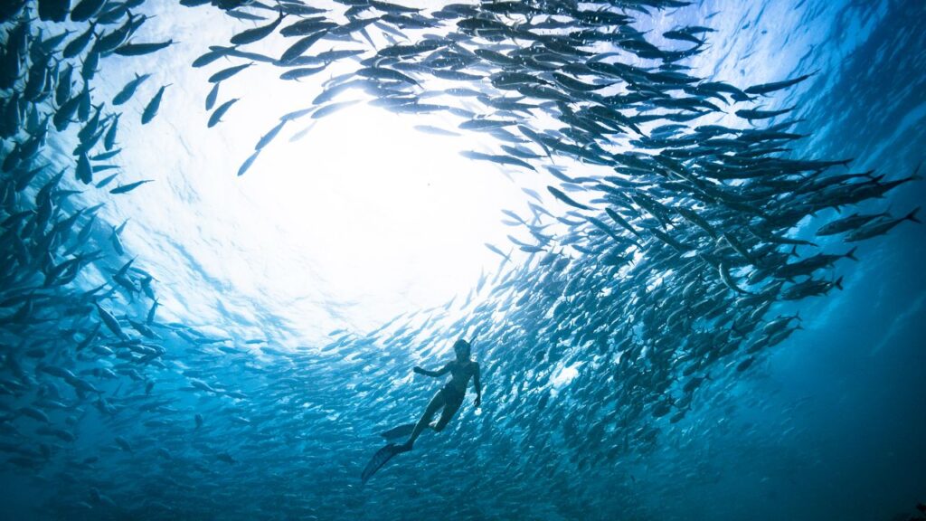 Condé Nast Traveler