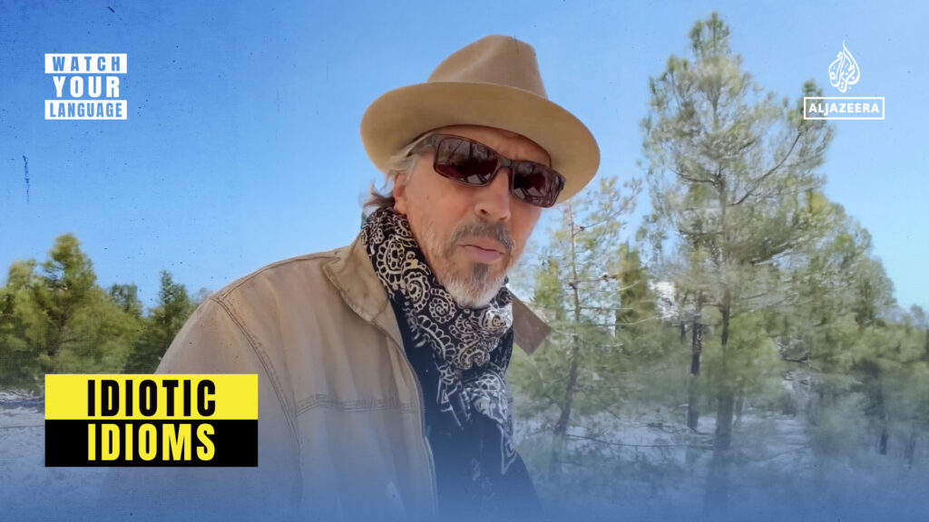 Idiotic Idioms