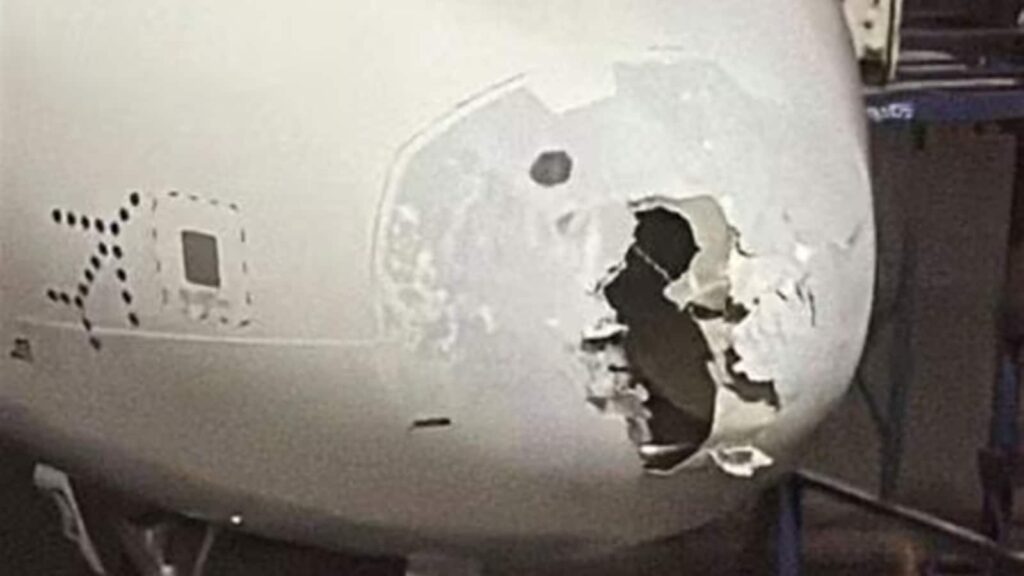indigo plane nose