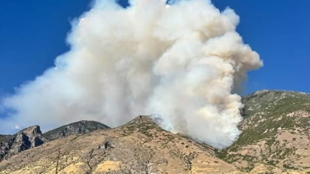 Massive fire erupts in Slate Canyon, Provo; videos capture intense blaze near Springville, Utah