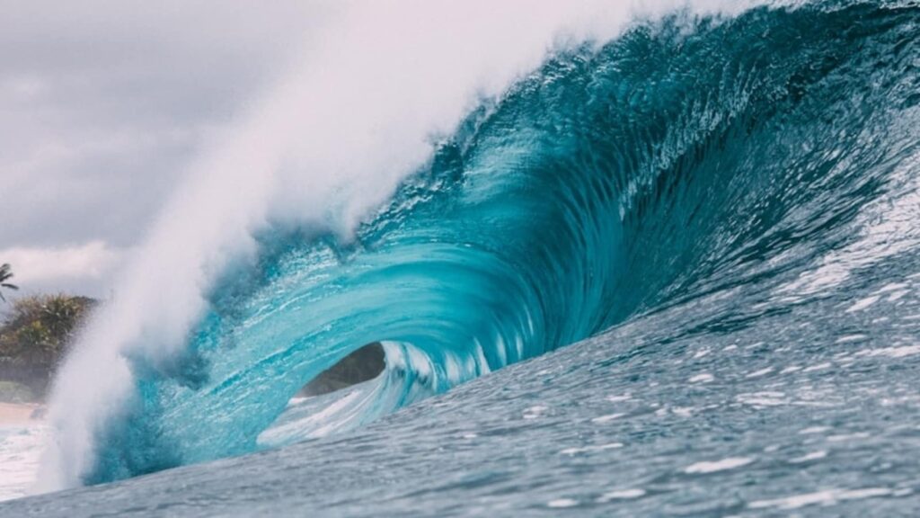 Mega-tsunami warning: These 3 US states could face direct impact in next 50 years
