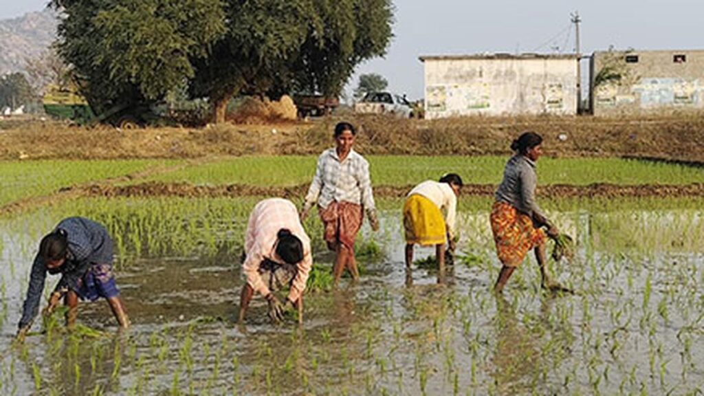PM’s stance on protecting farmers’ interests welcomed by farmer groups