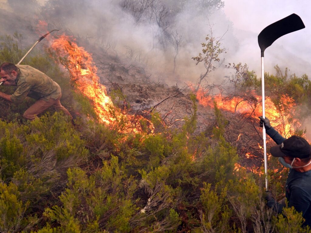 Spain’s August heatwave was ‘most intense on record’, weather agency says | Climate News