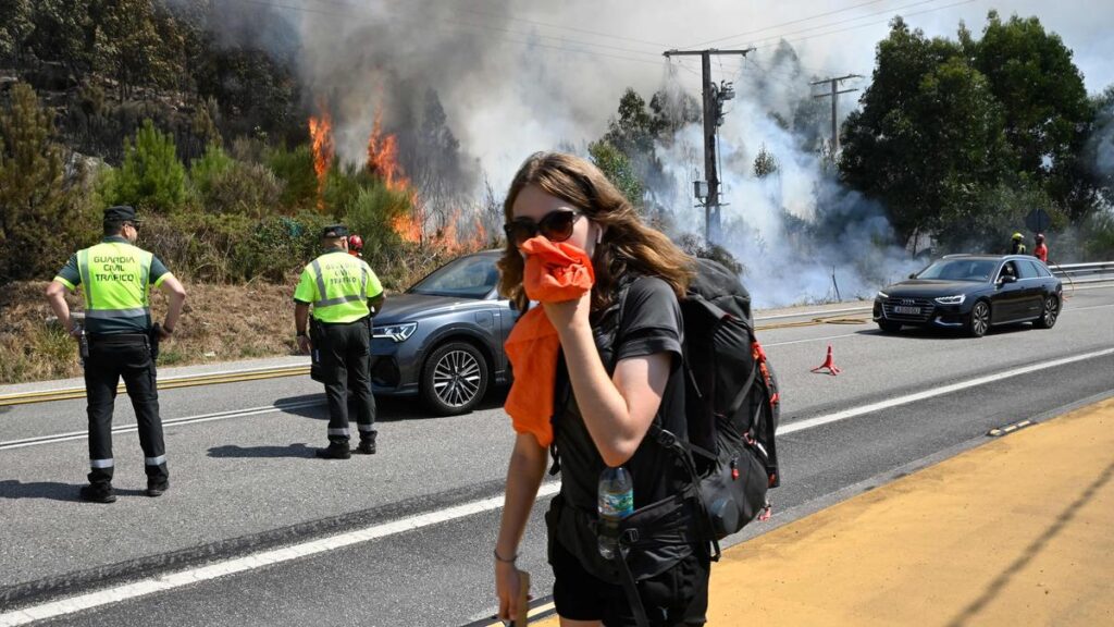 Spain's wildfires almost vanquished: official