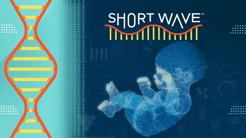 The tech behind genetically modified babies is getting a reboot : Short Wave : NPR