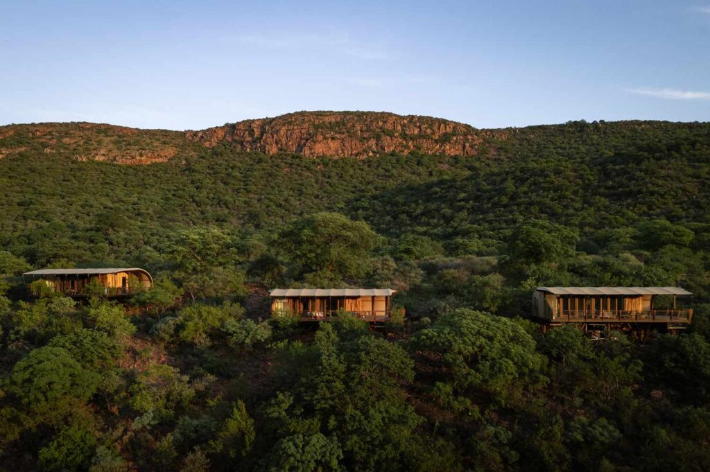 This Luxury Safari Lodge in South Africa Just Launched a Pay-What-You-Can Program
