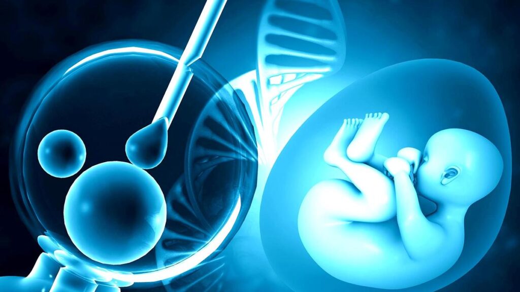 Understanding fertility health: growing the green flags and working upon red flags