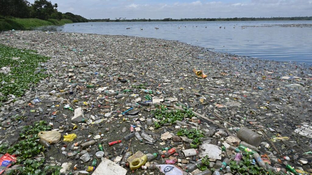 What are the uses of wastewater surveillance? | Explained What are the uses of wastewater surveillance? | Explained