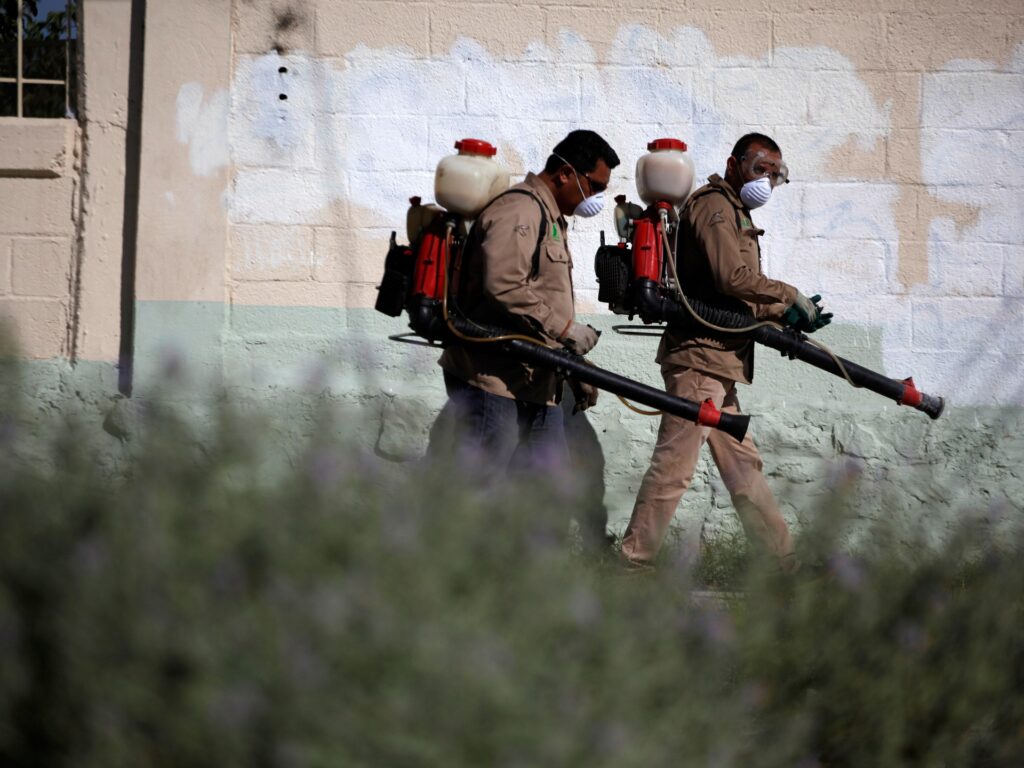 What is the chikungunya virus, how are countries such as China battling it? | Health News