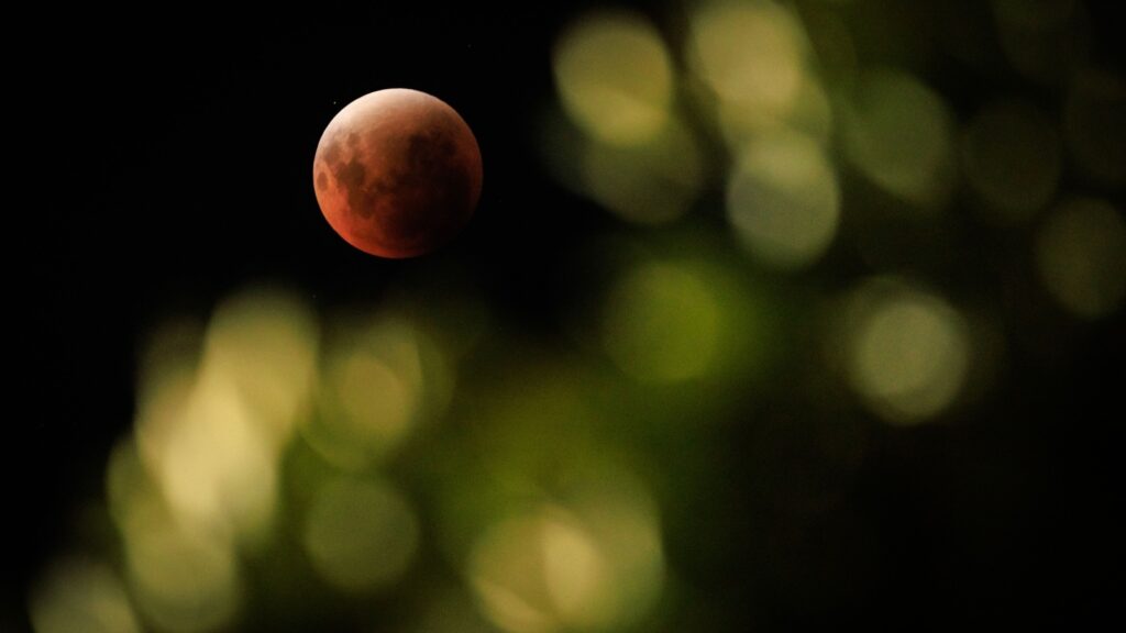 Earth stands still for the Moon: 10 stunning images of Lunar Eclipse