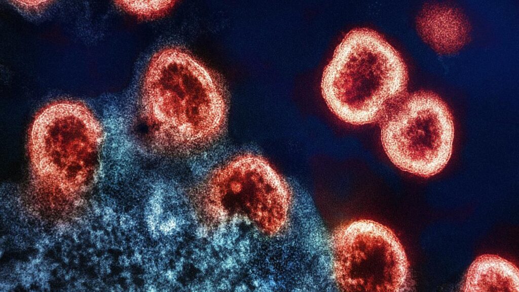 HIV strains in India resist some top broadly neutralising antibodies HIV strains in India resist some top broadly neutralising antibodies