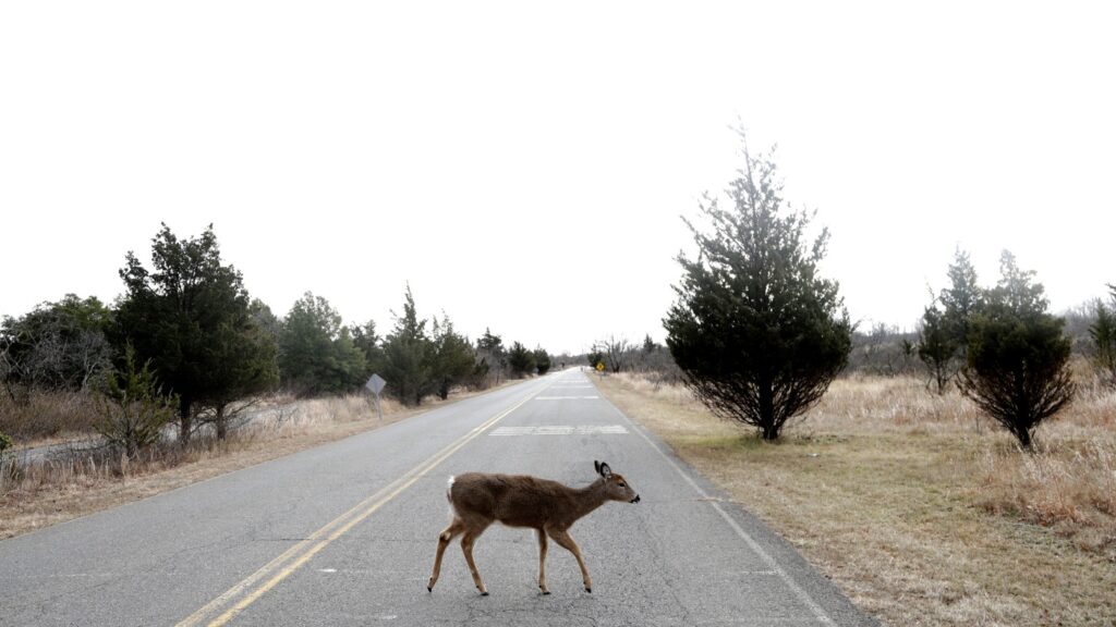 Here's what will be affected by a government shutdown : NPR