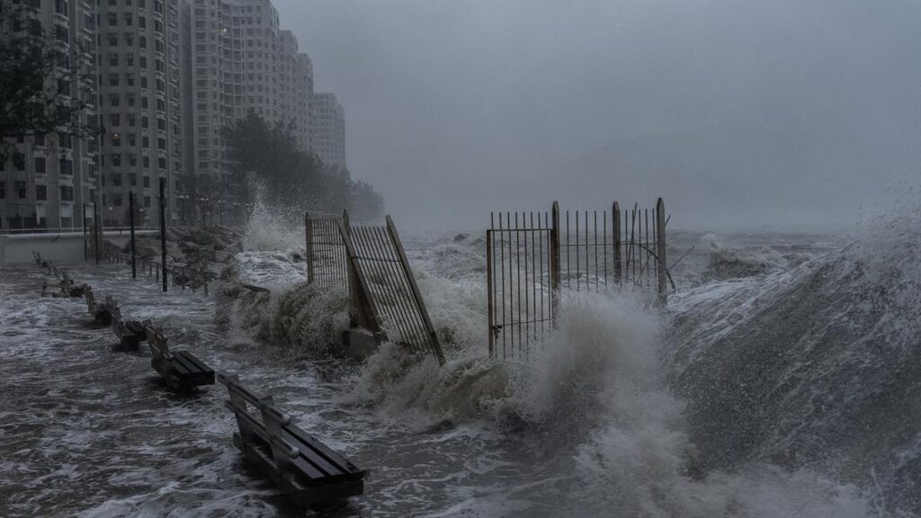 Hong Kong reopens after world's most powerful Typhoon Ragasa