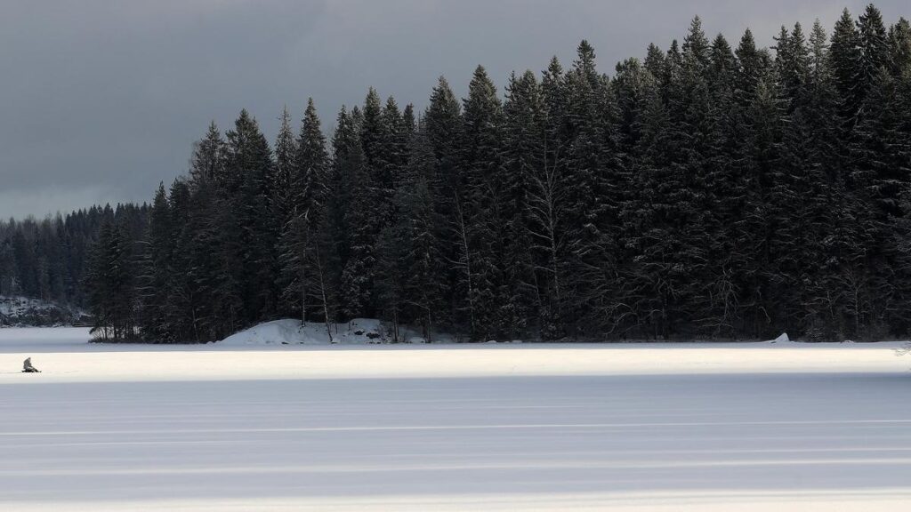 In Nordic dispute over EU forest targets, echoes of Greece’s crisis