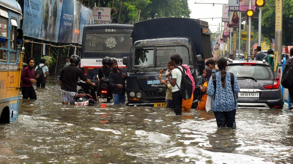 Google Preferred Source