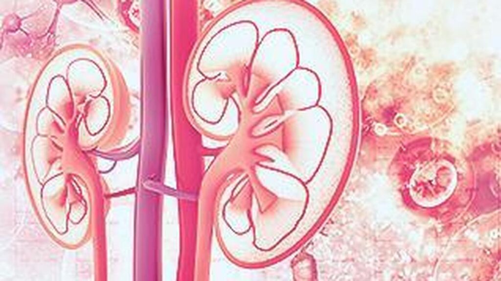 Study projects kidney cancer cases could double in next 25 years globally Study projects kidney cancer cases could double in next 25 years globally