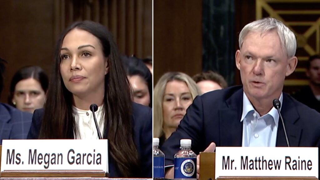 Their teen sons died by suicide. Now, they want safeguards on AI : Shots Their teen sons died by suicide. Now, they want safeguards on AI : Shots