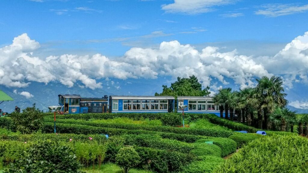 Google Preferred Source