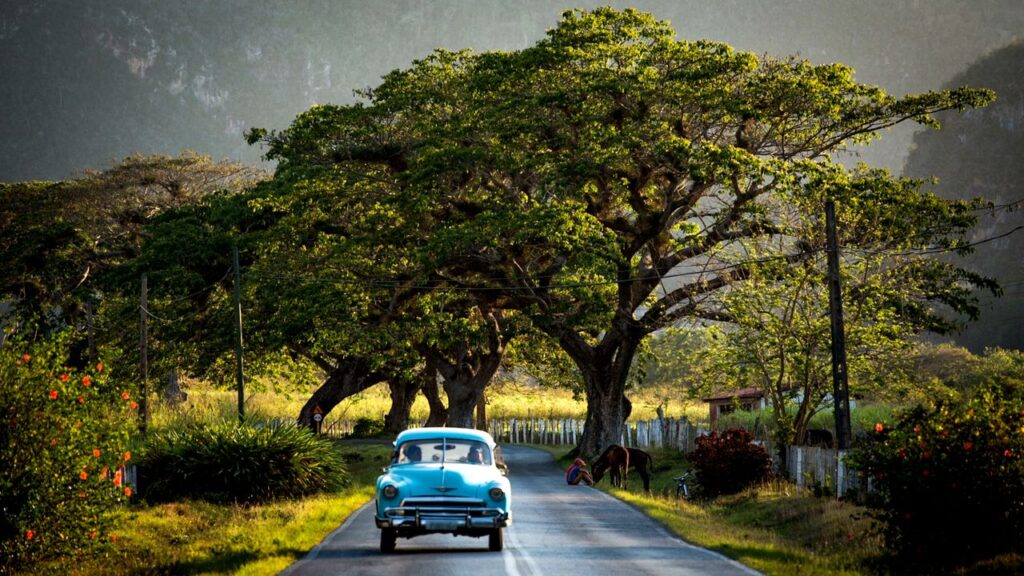 Why Do We Make Such Fast Friends on Vacation?