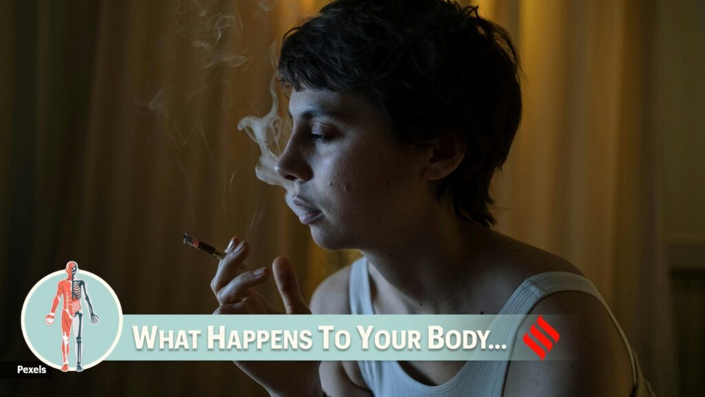Why does a sleep-deprived body crave more smoke? smoking