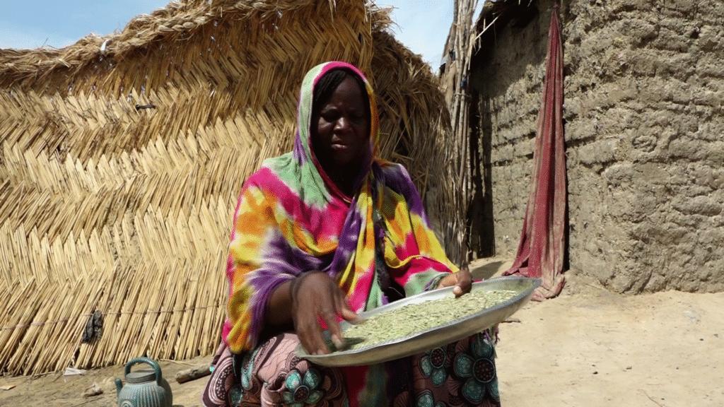 ‘We will stay’: Displaced Nigerians fear Boko Haram, stay in closing camps | Boko Haram News ‘We will stay’: Displaced Nigerians fear Boko Haram, stay in closing camps | Boko Haram News