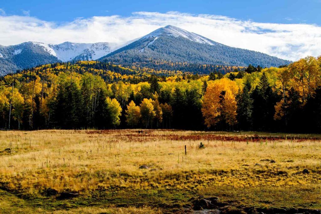 10 Places in the U.S. Where Fall Foliage Is Still Peaking Into November