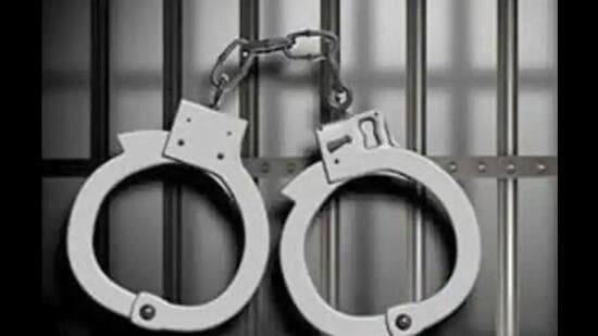 28-yr-old Bengal man arrested for desecrating Kali idol, tells cops he was drunk Cricket in L1