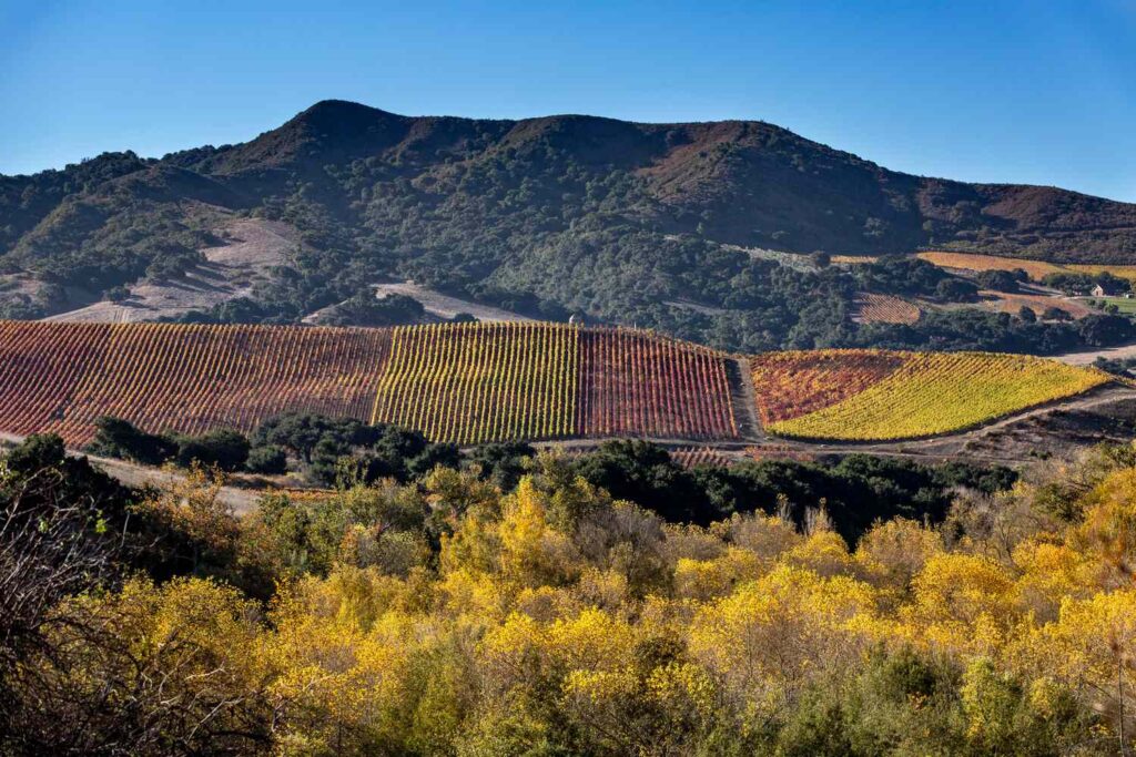 Buellton, California, Is One of the Most Underrated Small Towns in the State