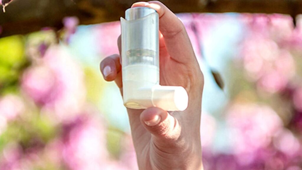 Common inhalers carry heavy climate cost, study finds Common inhalers carry heavy climate cost, study finds