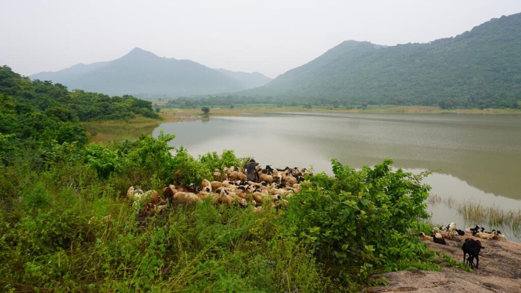 Fight to protect Chelam Hill gets stronger in northern Andhra Pradesh