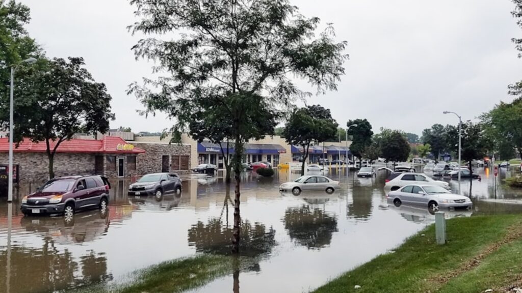 Florida flash flood: Scary videos emerge from Boca Raton and Eustis as severe rain hits Lake County Florida flash flood: Scary videos emerge from Boca Raton and Eustis as severe rain hits Lake County