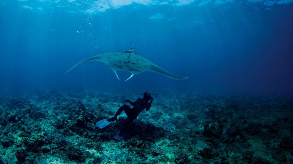 Condé Nast Traveler