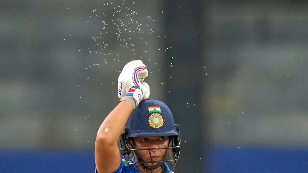Throughout the first 34 overs of the match, in which India were batting first, insects could be seen buzzing about in the frame almost everywhere, particularly around the pitch. (AP Photo)