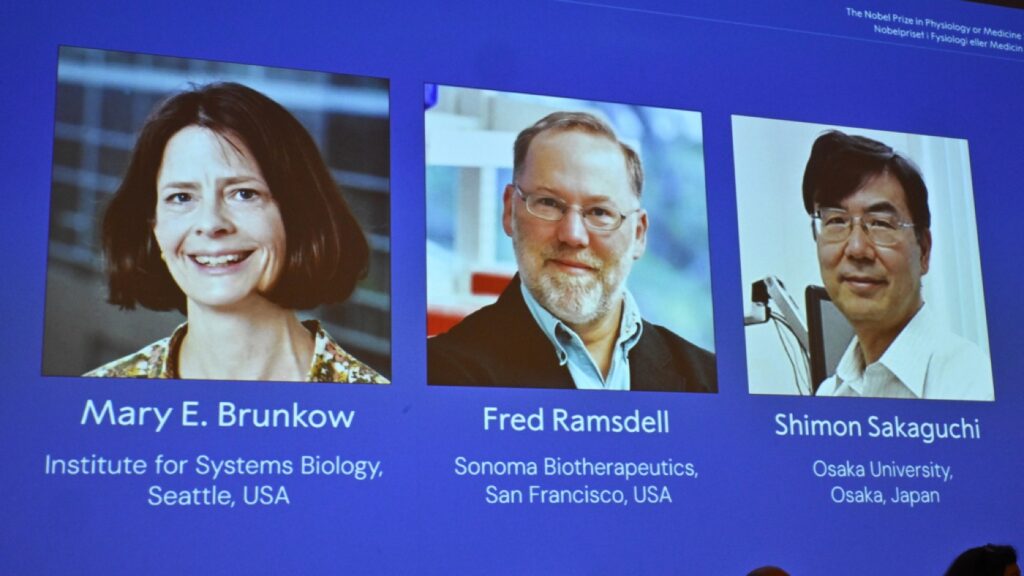 Medicine Nobel Prize rewards peripheral immune tolerance research : NPR