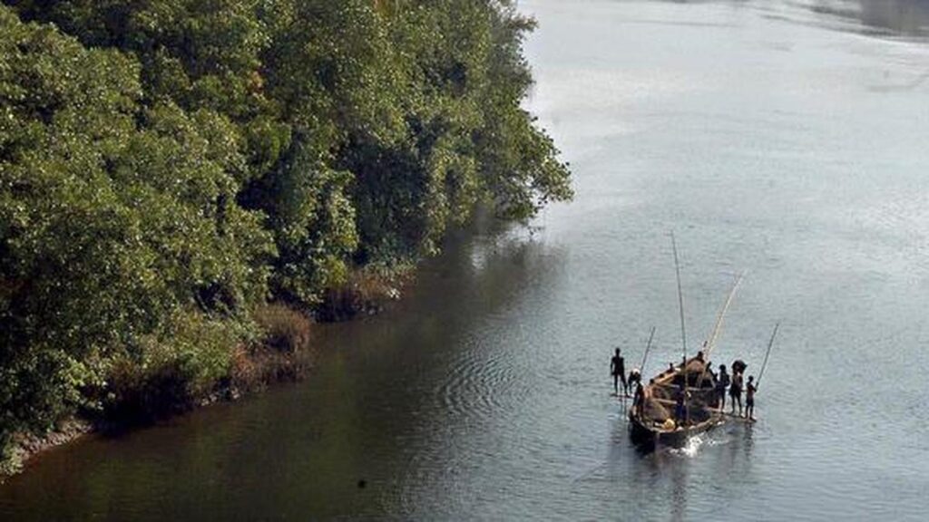 Microplastics threaten Goa’s estuarine fisheries, human consumers Microplastics threaten Goa’s estuarine fisheries, human consumers